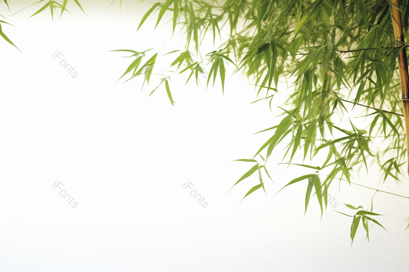 春天玉竹文雅极简背景实拍,高清,摄影图,摄影图片,图片大全,摄影图免费下载